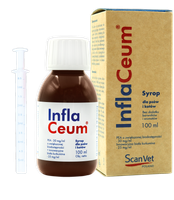 scanvet inflaceum preparat dla psów i kotów wspomagający stawy 100ml