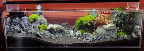 ŻWIREK CZARNY 1-3 mm PODŁOŻE DO AKWARIUM 25kg na Arena.pl