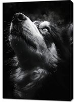 Obraz 70x100cm Portret Zwierząt do Salonu Pokoju | Husky 2 | Czarno Białe