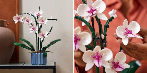 LEGO Creator Orchidea 10311 na Arena.pl