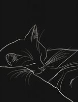 Plakat 50x65cm Nocny Spokój