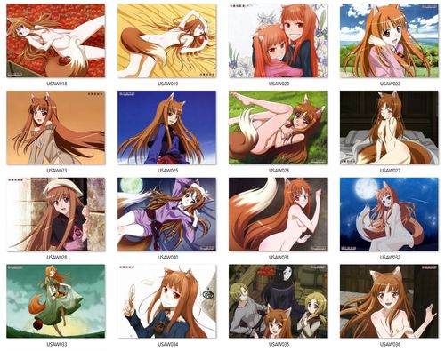 Poduszka Spice and Wolf DO WYBORU na Arena.pl