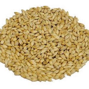 Słód pale ale 5,5-7,5 EBC Weyermann 5 kg na Arena.pl