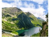 product-compare-58650231