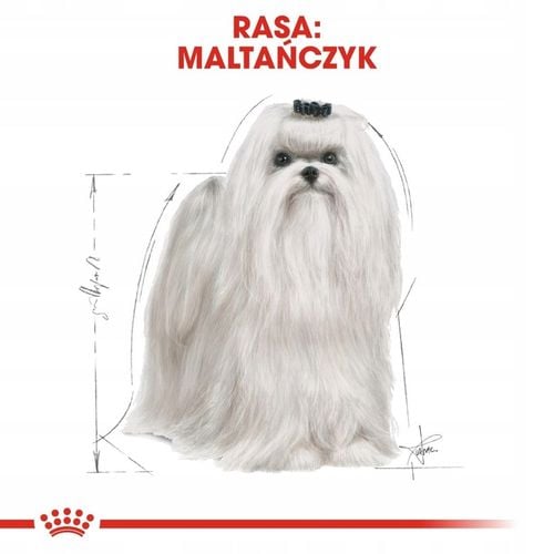 Royal Canin Maltese Adult 1,5kg Karma Sucha Dla Psów Rasy Maltańczyk na Arena.pl