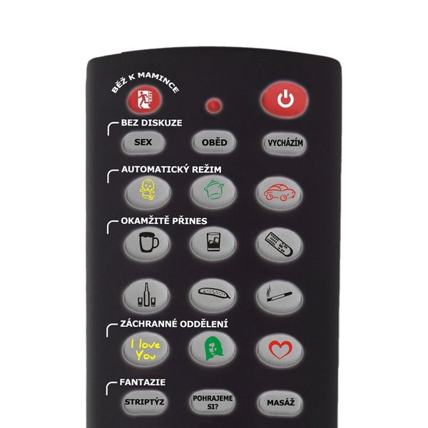 Gadający Pilot - Steruj Kobietą! (CZ) zdjęcie 3