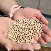 Karma pasza DJ z Podlasia kura nioska granulat