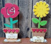 kwiatek w doniczce 22cm TATA