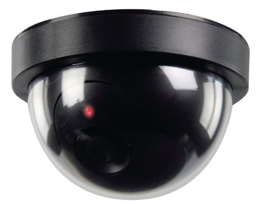 König dummy indoor dome camera na Arena.pl
