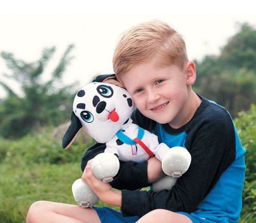 PIESEK BOOGIE -PSI ROZRABIAKA DALMATYŃCZYK EPEE na Arena.pl