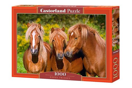 CASTOR Puzzle 1000 el - Konie na Arena.pl