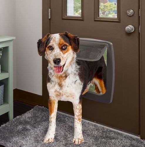 Brązowe drzwiczki z blokadą otwierania dla średnich i dużych psów Swing 15 na Arena.pl