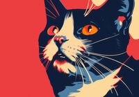 Plakat 66,5x46,5cm Szok