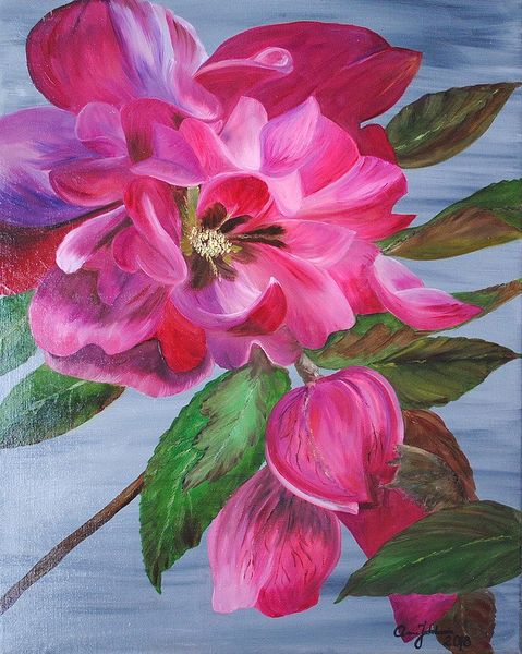 Magnolie (50x60cm) zdjęcie 1