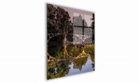 OBRAZ NA SZKLE KWADRATOWY 70x70cm 068 Most w lesie