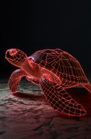 Plakat 56,6x86,4cm Neonowy Żółw