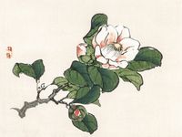Plakat 40x30cm Camelia, Kōno Bairei Japoński Vintage do Salonu
