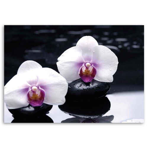 OBRAZ NA PŁÓTNIE Orchidea Zen Kamienie 100x70 na Arena.pl