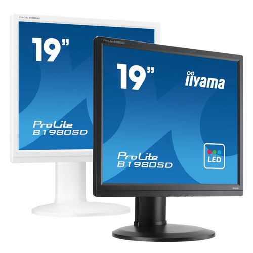Monitor iiyama Prolite B1980SD-B1 19" LED TN na Arena.pl