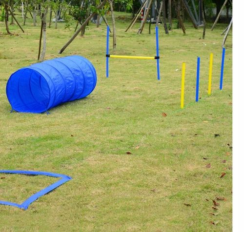 PawHut ZESTAW AGILITY DLA PSA/SLALOM TUNEL PŁOTKI na Arena.pl