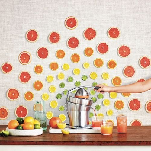 Wyciskarka do Cytrusów SCP800 THE CITRUS PRESS PRO na Arena.pl