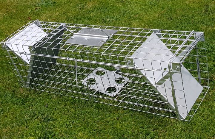 żywołapka pułapka na szczury gryzonie szczurołapka zdjęcie 3