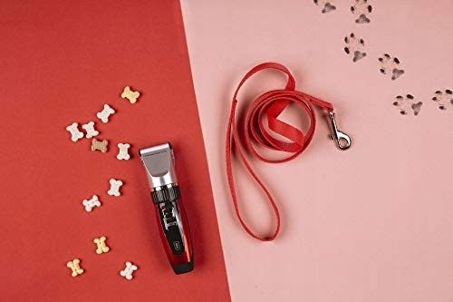 Maszynka do strzyżenia psów CAMRY CR 2821 na Arena.pl