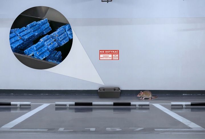 ZESTAW STACJA DERATYZACYJNA NA TRUTKĘ NA MYSZY x5 zdjęcie 3