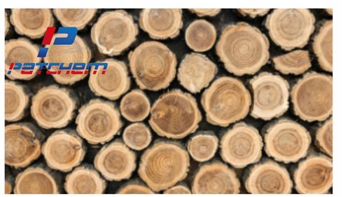 CHLOR płynny PODCHLORYN SODU 15 % do basenu 6 kg 5 l GRZYBOBÓJCZY DO na Arena.pl