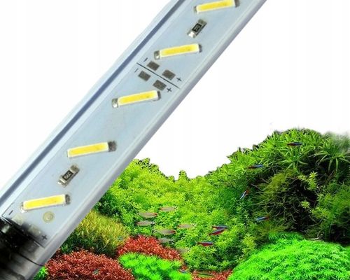 Świetlówka LED oświetlenie AKWARIUM 8520 50cm na Arena.pl