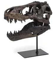 T-REX CZASZKA REPLIKA FIGURKA DEKORACYJNA Z ŻYWICY DEKORACJA MODEL DINOZAUR