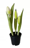 TULIPANY GUMOWE jak ŻYWE w doniczce TULIPAN BIAŁY