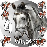 OPŁATEK NA TORT 20CM - KONIE KOŃ KONIKI HOBBY + IMIĘ + ! 15CM 18CM