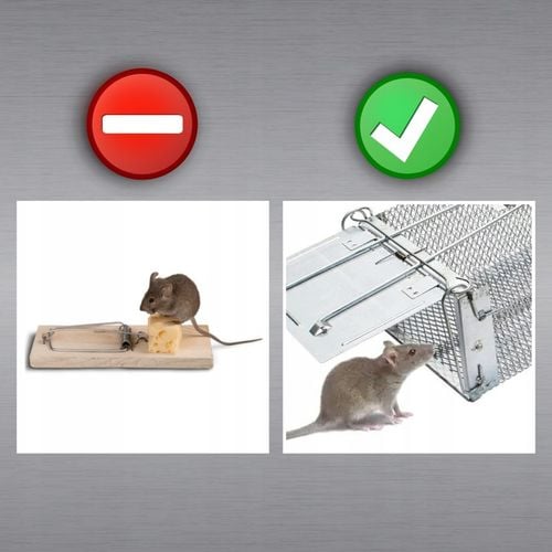 PUŁAPKA ŻYWOŁAPKA NA SZCZURY MYSZY GRYZONIE KUNY ŁAPKA DO ŁAPANIA na Arena.pl