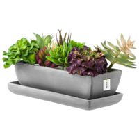 Kaktusiarka doniczka Ceramika ciemnoszara 29cm podstawka sukulenty kaktusy