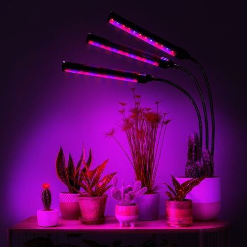 lampa led do wzrostu roślin 72 diod timer 25 w uprawa roślin do domu na Arena.pl