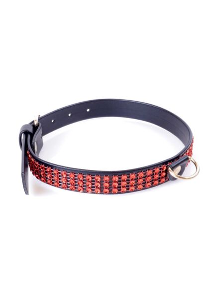 Fetish B - Series Collar With Crystals 2 Cm Red Line zdjęcie 2