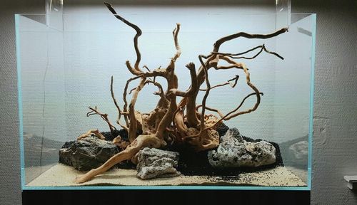Korzeń do Akwarium Red Moor Zestaw 3-5szt na Arena.pl