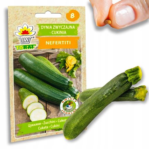 Nasiona warzyw marchew ogórek pietruszka burak NA DOBRY START UDANE PLONY na Arena.pl