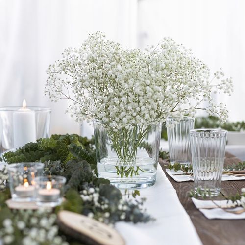 OSŁONKA SZKLANA Na STORCZYK Rośliny Doniczkę Przezroczysta H 16 cm na Arena.pl