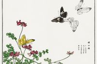 Plakat 30x20cm Motyle i Kwiaty Morimoto Toko Japoński Vintage do Salonu