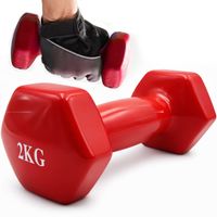 hantel żeliwny powlekany 2kg