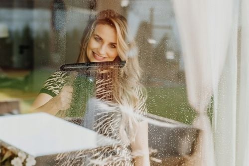 MYJKA DO OKIEN SZYB LUSTER BLATÓW AKUMULATOROWA POZIOME MYCIE na Arena.pl