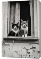 Obraz 60x90cm Para w Oknie