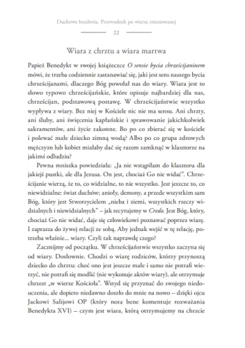 Duchowe bezdroża. Przewodnik po wierze zmutowanej na Arena.pl