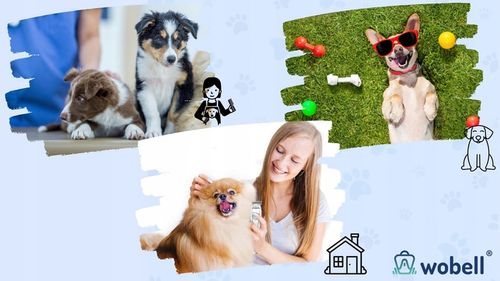 Maszynka do strzyżenia zwierząt dla psa kota golarka cicha profesjonalna na Arena.pl