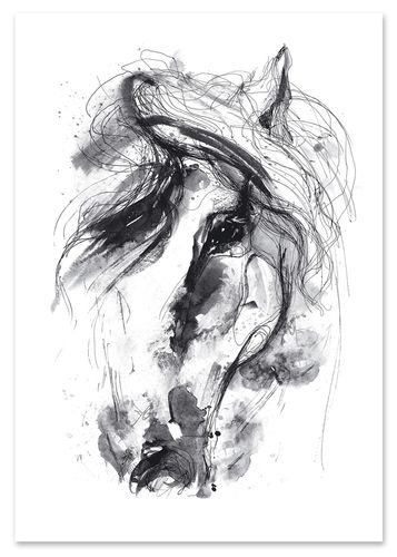 Plakat obraz koń szkic 21x29,7 cm A4 na Arena.pl