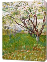 Obraz 50x70cm The Flowering Orchard, Van Gogh Vintage