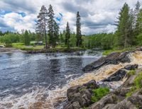 FOTOTAPETA widoki krajobrazy lasy drzewa natura