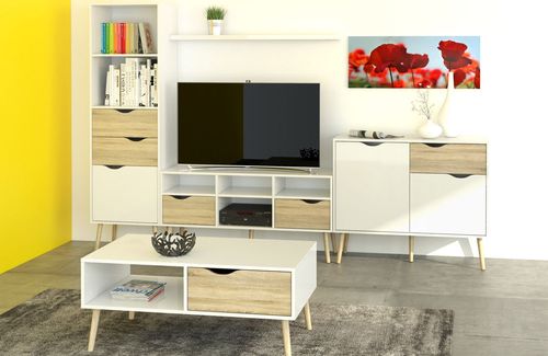 Regał Oslo 2S1D w stylu retro na Arena.pl